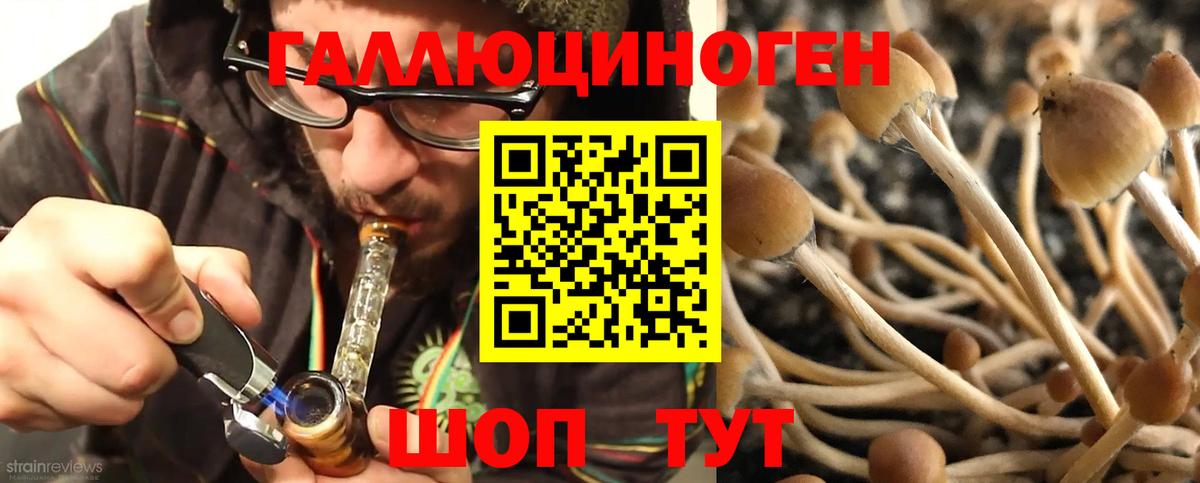 Псилоцибиновые грибы ЛСД  Галлюциногенные грибы Psilocybine cubensis  Вход с VPN  Рязань 